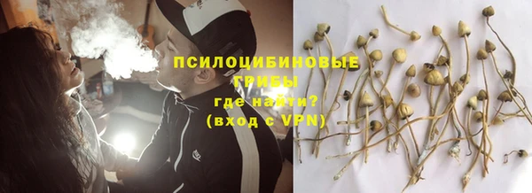 spice Заволжск