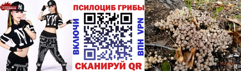 Псилоцибиновые грибы Psilocybine cubensis  кракен сайт  Сим 